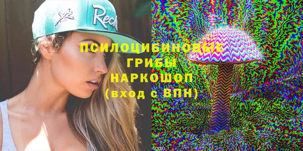индика Богородск