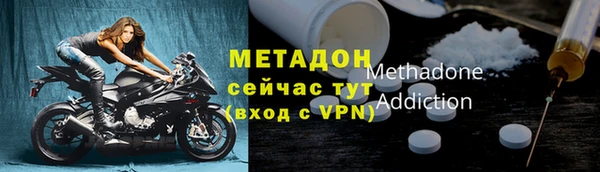 прущие грибы Богородицк