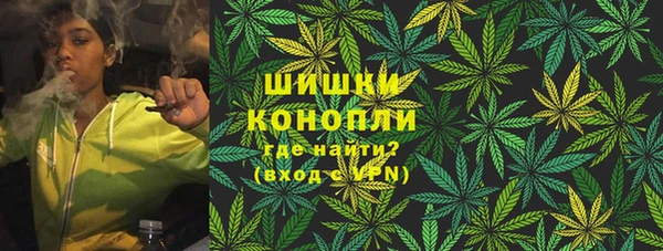 прущие грибы Богородицк