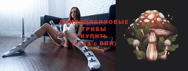 индика Богородск