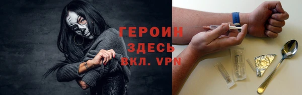 индика Богородск