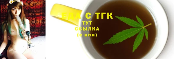 индика Богородск