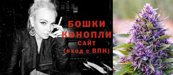 прущие грибы Богородицк