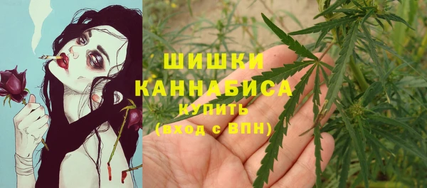 прущие грибы Богородицк