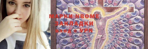 прущие грибы Богородицк