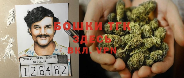 прущие грибы Богородицк