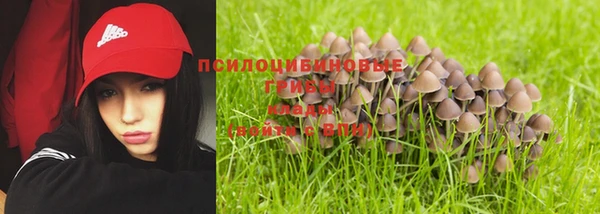 альфа пвп Богданович